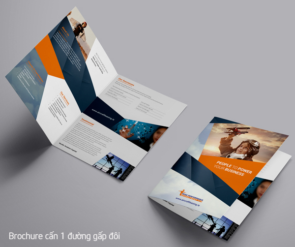 Brochure cấn 1 đường gấp đôi