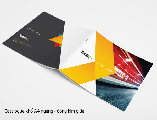 in catalogue đóng kim giữa