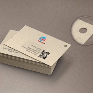 name card đục lỗ