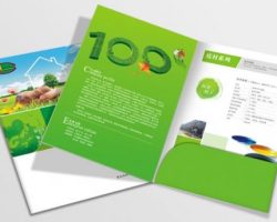 Folder in 2 mặt 1 tay gấp