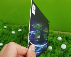 thiep_moi_boi_ep_kim_1